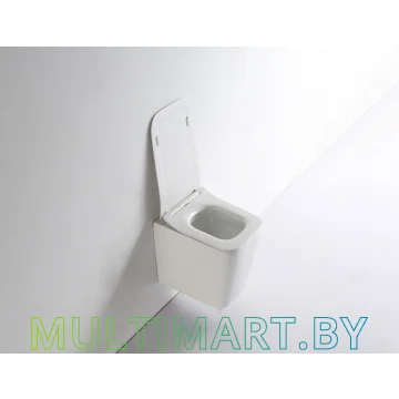 Унитаз CeramaLux NS 5170 картинка 2